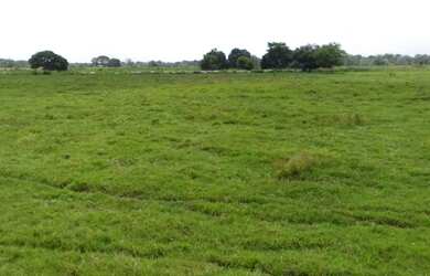 Imagem 2: R$ 20 milhões 1107 hectares pronta e 100 documentada aceita 50 de entrada