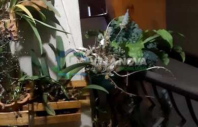 Imagem 8: Ribeirão Preto - Apartamento Padrão - Vila Ana Maria