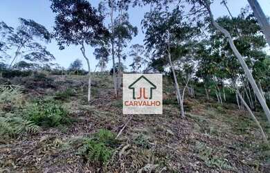 Imagem 6: Terreno à venda, 1425 m² por R$ 165.000,00 - Varginha - Nova Friburgo/RJ