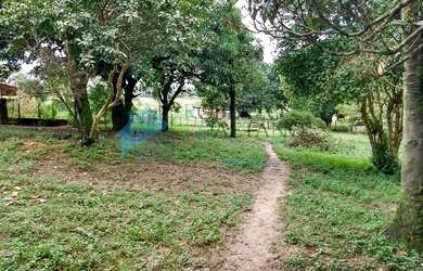 Imagem 9: Excelente área plana com 35.000 m² no Bairro Bandeirinhas em Betim