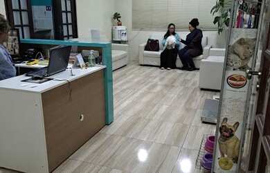 Imagem 15: Clinica veterinária pet ,Para locação jardim das flores