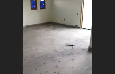 Imagem: O depósito possui 1100m² de Área e está localizado em Piraporinha