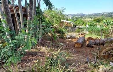 Imagem 5: Chácara - Área Rural de Artur Nogueira - Artur Nogueira