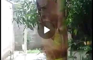 Imagem 7: Vende casa porto dourado. 100m² de Área, 1 Vaga na garageme1 Dormitório