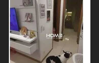 Imagem 14: LINDO APARTAMENTO 2 QUARTOS À VENDA COMPLETO, ENTRAR E MORAR