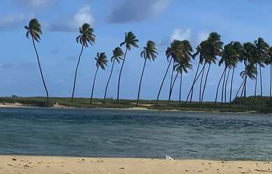 Imagem 3: CASA ALTO PADRÃO VINI (1.750.00 DIÁRIA