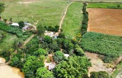 Imagem 13: LINDA FAZENDA DE 44 HECTARES A 45 km de Brasília