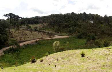 Imagem: A chácara possui 46.000m² de Área e está localizado em