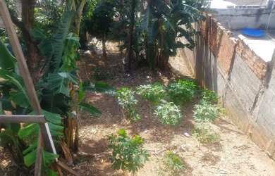 Imagem: O terreno possui 295m² de Área e está localizado em Jardim