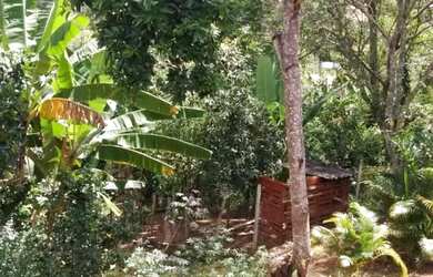 Imagem 3: Vendo ou troco chácara por casa na cidade da região ou casa na baixada