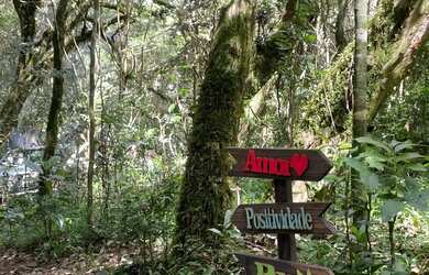 Imagem 8: Vende-se ou Aluga-se Chácara em São Marcos