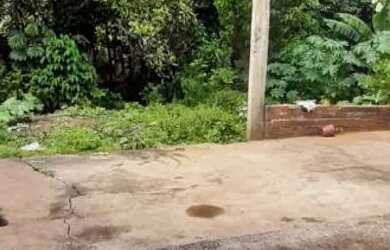 Imagem: Chácara 1000 metros dentro da cidade