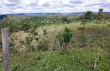 Imagem 2: A M IMOVEIS VENDE EXELENTE FAZENDA NA FERCAL COM 10 ALQUEIRES