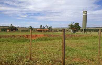 Imagem 13: Belíssima fazenda de 53 alqueires, região de Presidente Prudente terra...