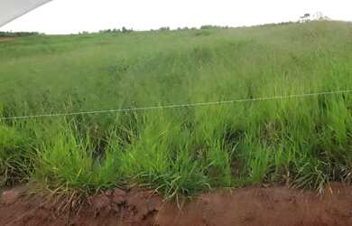 Imagem 9: Lote/Terreno para venda tem 500 metros quadrados em Campos de Atibaia...