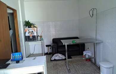 Imagem 10: Clinica veterinária pet ,Para locação jardim das flores