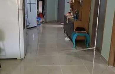 Imagem: A casa possui 3 Dormitórios, 3 Banheiros e está localizado