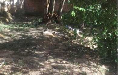 Imagem 3: Vendo está casa. Imóvel novo, 10.300m² de Área, 2 Vagas na garageme2...