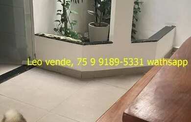 Imagem 10: Leo vende, perto da Fraga Maia, 2 4 suíte, goumert, fino acabamento