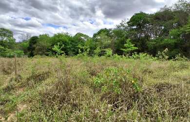 Imagem 3: TERRENO RURAL 5.264 m² - / ANTÔNIO OLINTO - MONTES CLAROS MG