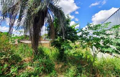 Imagem 3: Lote em Bicas 360 m2 com asfalto, escritura e registro