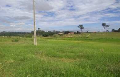 Imagem 3: Belíssima fazenda de 53 alqueires, região de Presidente Prudente terra...