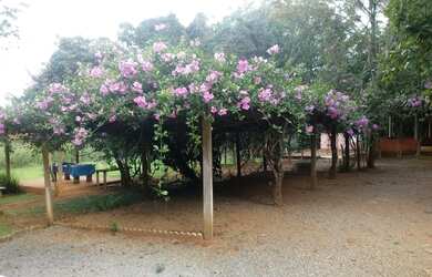 Imagem 3: Bela Vista de Goiás - Chácara - Zona rural