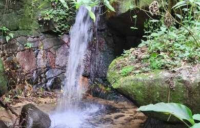 Imagem 5: Lote/Terreno para venda possui 1450 metros quadrados desmembravéi em Itanhangá - Rio de Ja