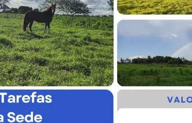 Imagem: A chácara e está localizado em São Gonçalo Dos Campos, BA