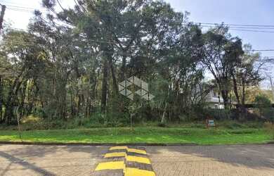 Imagem 5: Pinheiro Grosso. 734m² de Área