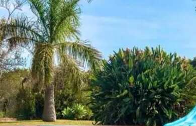 Imagem 11: Sitio com 98.000m2 PREÇO BOM Valor a baixo de mercado