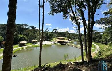 Imagem: A fazenda possui 550m² de Área e está localizado em Campina