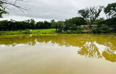 Imagem 12: Chácara de 8 alqueires em bela vista de Goias. 4 milhões avista