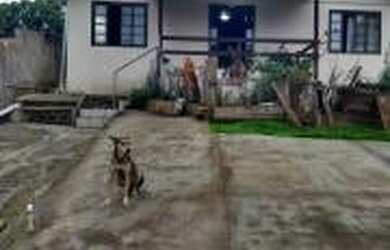 Imagem: Casa com terreno 361 m² e edícula nos fundos