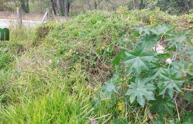 Imagem 9: Terreno a venda no Bairro da Usina em Atibaia