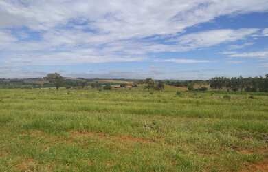 Imagem 2: Belíssima fazenda de 53 alqueires, região de Presidente Prudente terra...