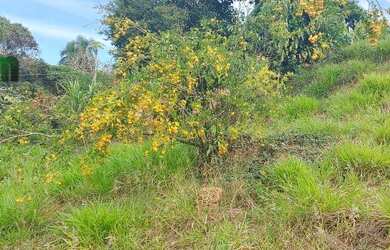 Imagem 4: Terreno a venda no Bairro da Usina em Atibaia