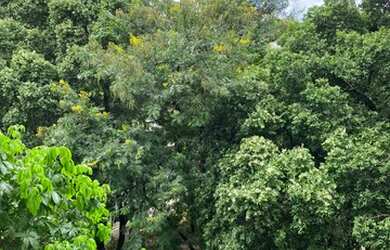 Imagem 15: Frente para a Praça, 3 quartos na Tijuca com 114 m2 - Rio de Janeiro - RJ