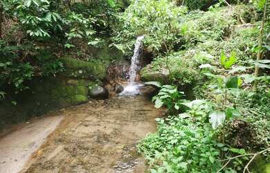 Imagem 6: Lote/Terreno para venda possui 1450 metros quadrados desmembravéi em Itanhangá - Rio de Ja