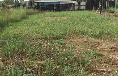 Imagem: O terreno e está localizado em São Francisco, Porto Velho