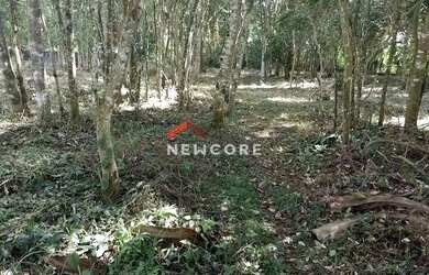 Imagem 7: Lote em condomínio em Estrada do Felipe - Chácara Rincão - Cotia/SP