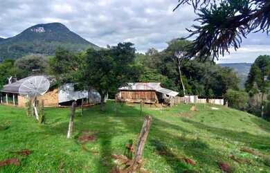 Imagem 5: Sítio à Venda em Canela!