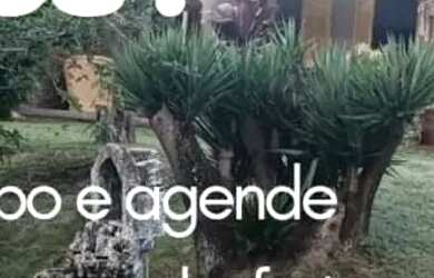 Imagem: A chácara possui 2000m² de Área e está localizado em Juatuba