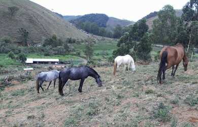 Imagem 8: A RC IMÓVEIS VENDE MARAVILHOSA FAZENDA/HARAS COM ESPETACULAR ESTRUTURA...