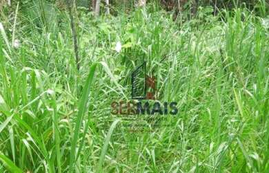 Imagem 10: Sítio à venda, 605000 m² por R$ 250.000,00 - Zona Rural - Humaita/AM