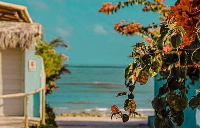 Imagem 12: Condomínio casa de praia Fortim Eco Vilas - Luxo , alto padrão e pé...