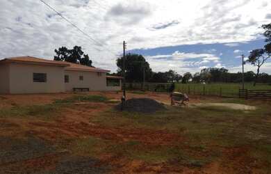 Imagem 16: Belíssima fazenda de 53 alqueires, região de Presidente Prudente terra...