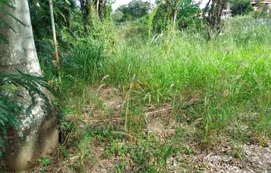 Imagem 4: Chácara - Área Rural de Artur Nogueira - Artur Nogueira