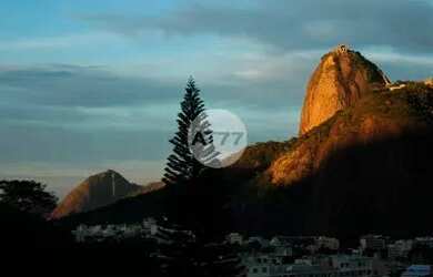 Imagem 1: Raridade_ Apartamento Condomínio Casa Alta _ Vista Unica