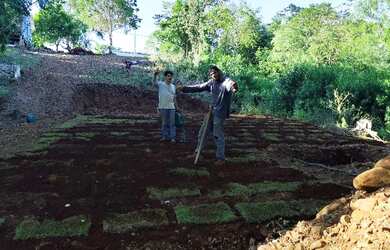 Imagem 10: Vendo lote no alagado em Três Barras do Paraná